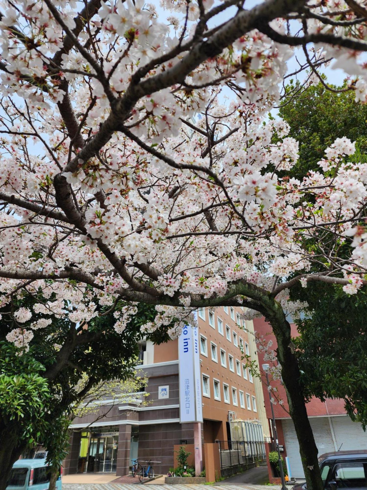 Toyoko Inn Fujisan Numazu Eki Kita Guchi No 2 Exterior photo